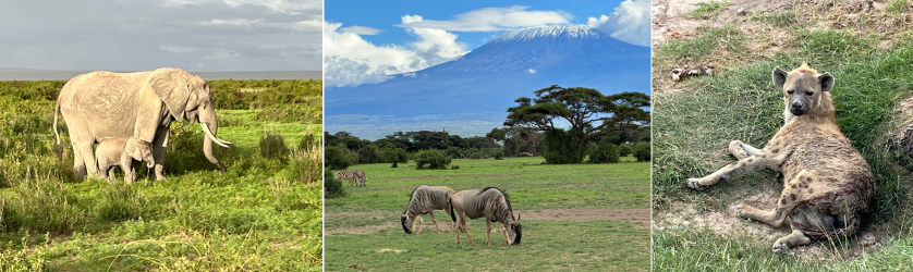 Amboseli National Park