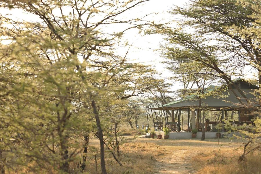 Kicheche Bush Camp