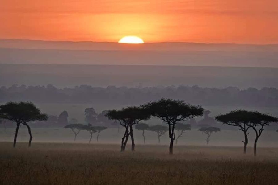 Masai Mara Conservancies