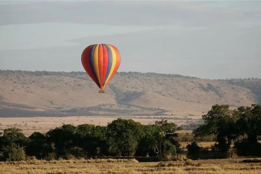 Balloon Safaris