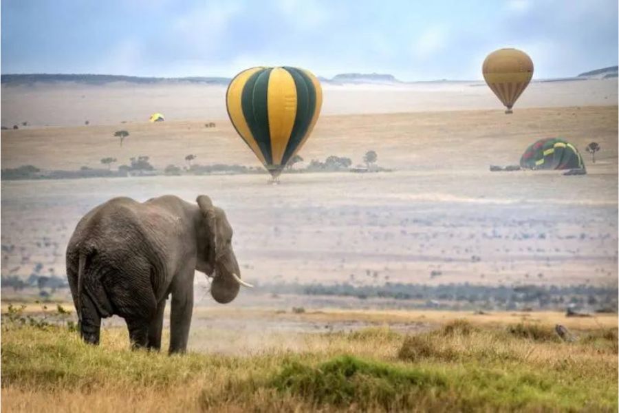 Balloon Safaris Landing