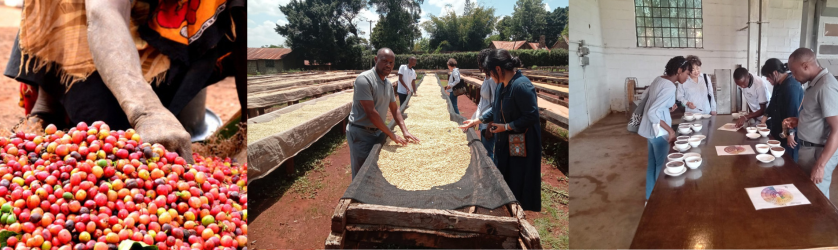 Coffee farm visit 1a