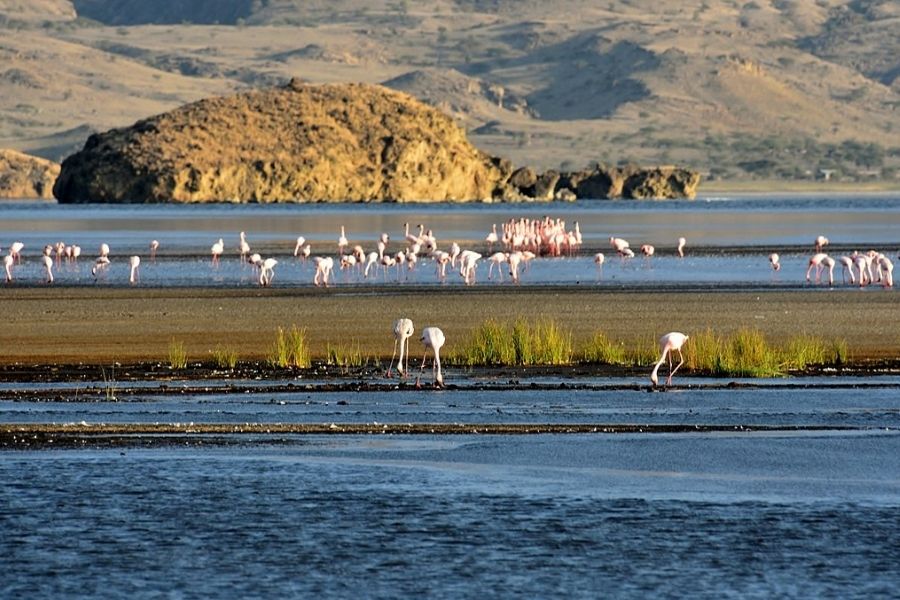 Lakes Eyasi & Natron.