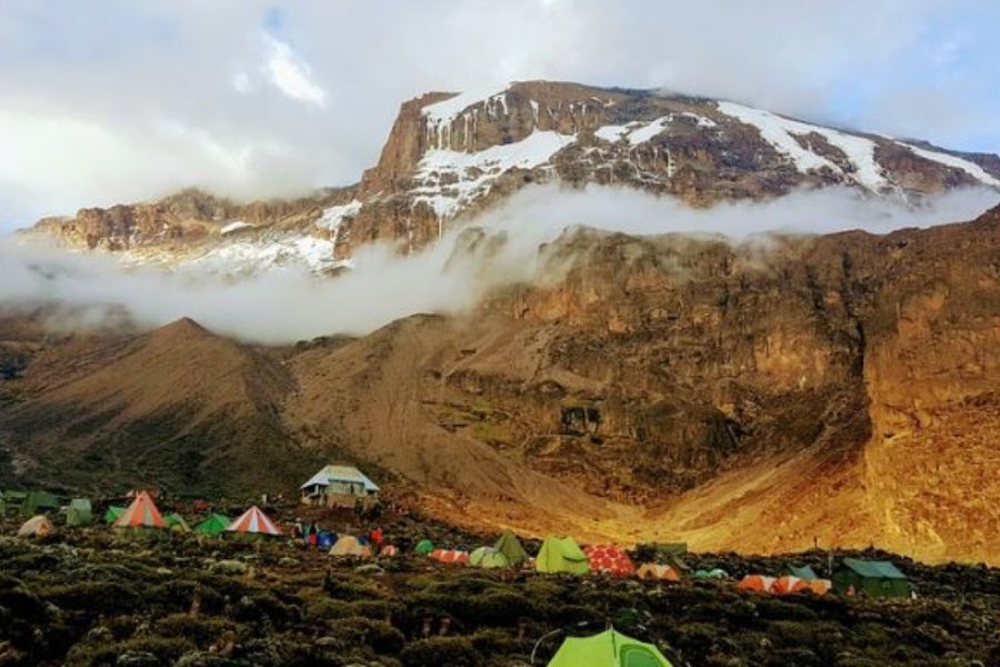 Lemosho Route 7 days mount Kilimanjaro summit trek
