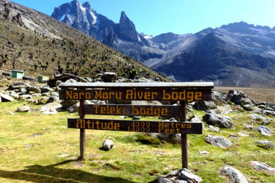 4 Days NaruMoru Route - Mount Kenya Climbing 