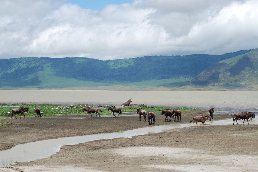 Ngorongoro Crater.