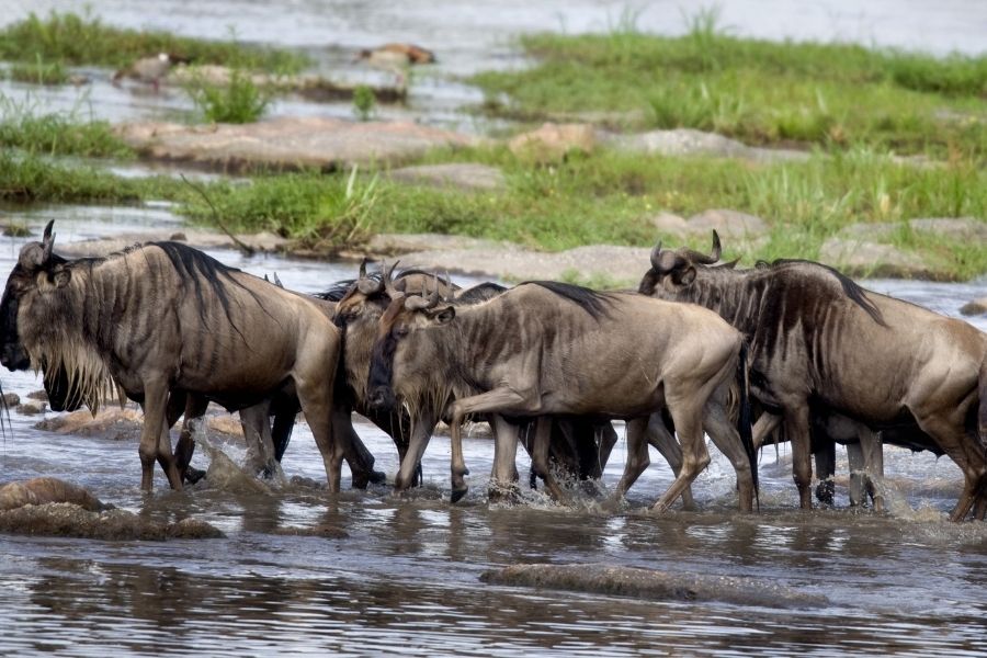 Serengeti National Park