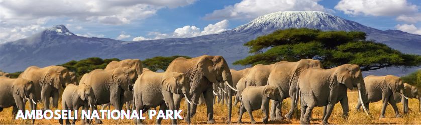 AMBOSELI NATIONAL PARK