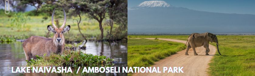 LAKE NAIVASHA AMBOSELI NATIONAL PARK