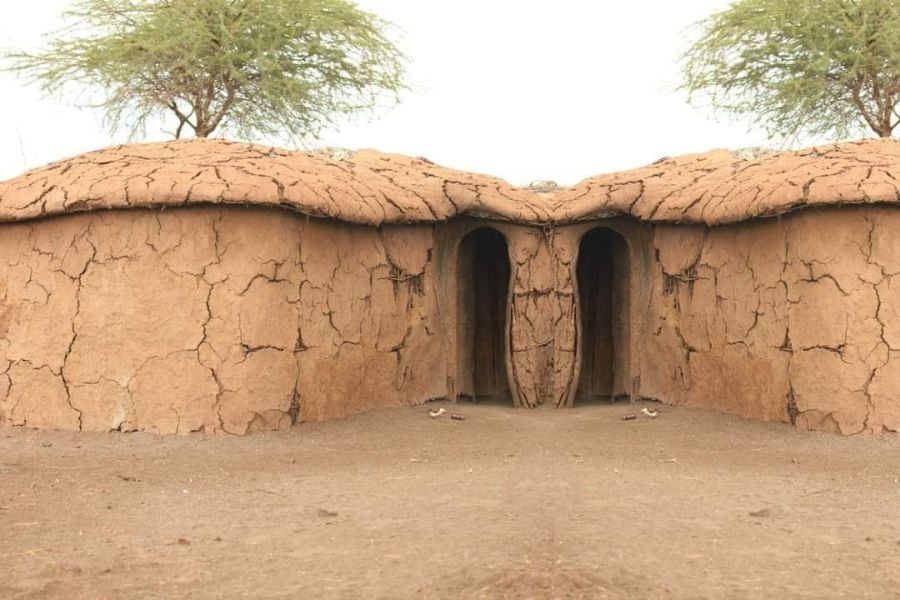 A traditional Maasai hut (Manyatta) made of mud, cow dung, and wooden poles, topped with a thatched grass roof. Surrounded by Kenya's golden savannah, it reflects the sustainable architecture and cultural heritage of the Maasai community during a cultural village tour in the Mara.