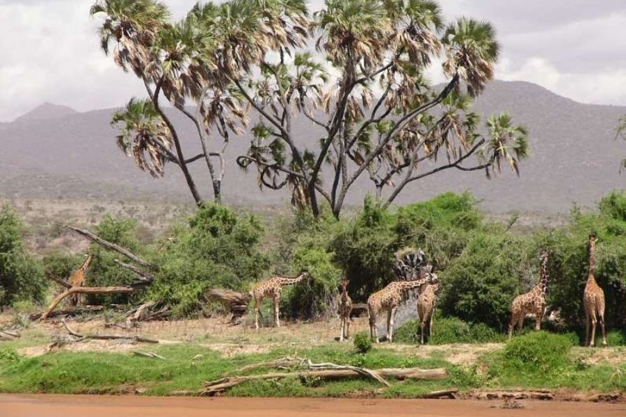 Sibiloi National Park