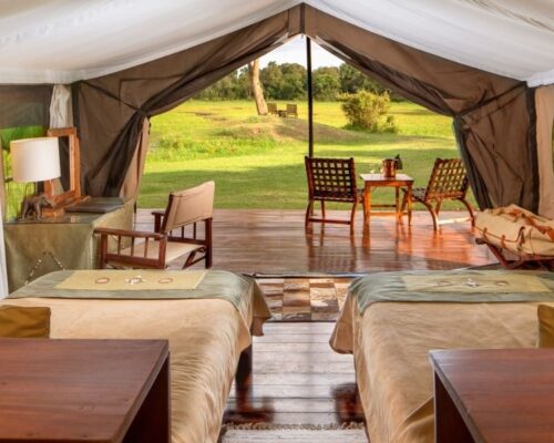 Little Governors Camp | Masai Mara