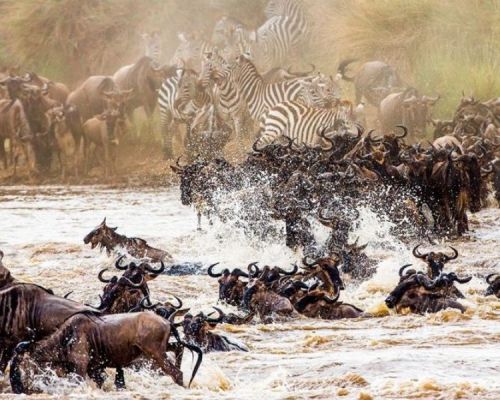 Maasai Mara Game Reserve | Toombili Adventures