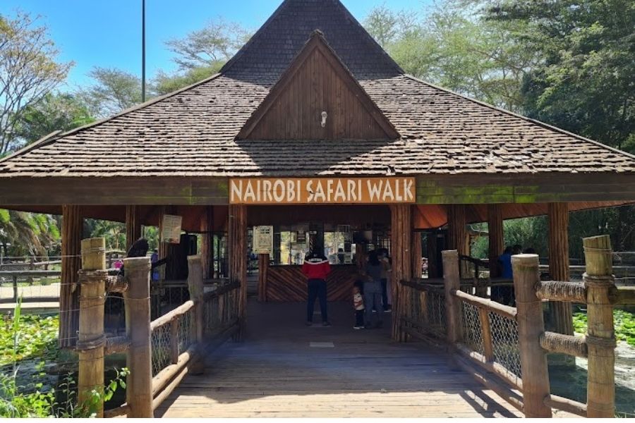 Nairobi National Park Day Tour