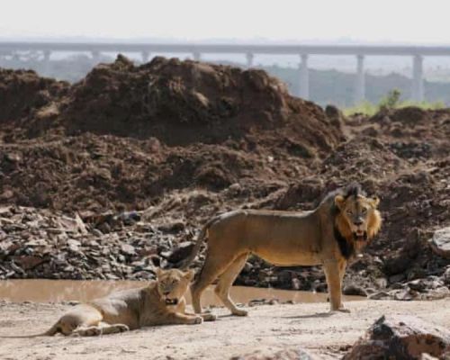 Nairobi National Park | Toombili Adventures