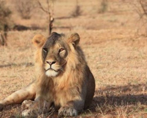 Samburu National Park | Toombili Adventures