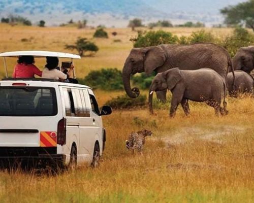 AA lodge Game Drive to Amboseli National Park | Toombili Adventures