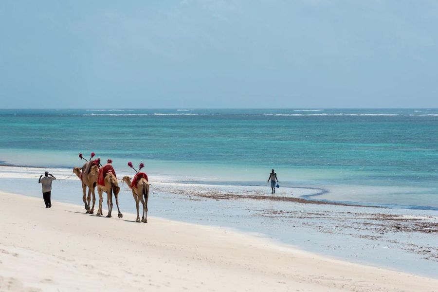 12 Days Beach and Bush Private Safari