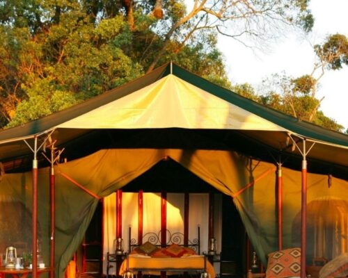 Mara Budget Camps | Masai Mara