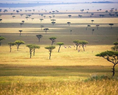 3 Days 2 Nights Masai Mara Safari