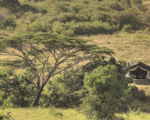 Mara North Conservancy | Toombili Adventures