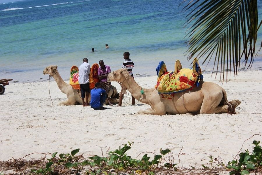3 Days 2 Nights Holiday in Diani Beach