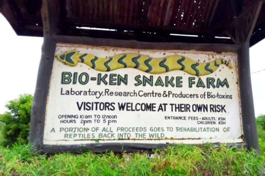 Bio-Ken Snake Farm | Watamu