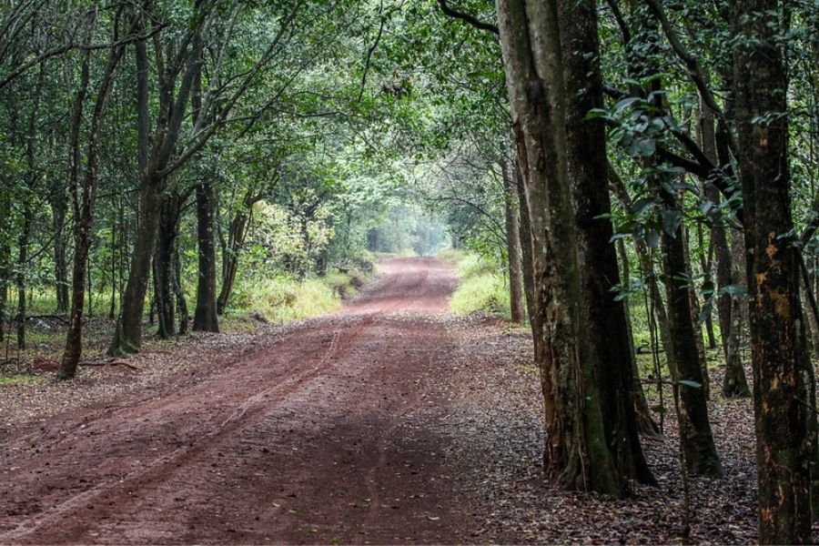 Karura Forest Reserve8