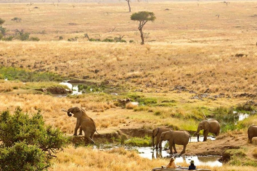 7 Days Magical Kenya Luxury Road Safari Package