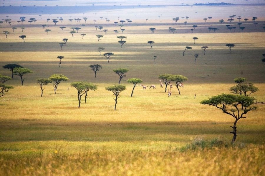 8 Days & 7 Nights Kenya Classic Safari Package