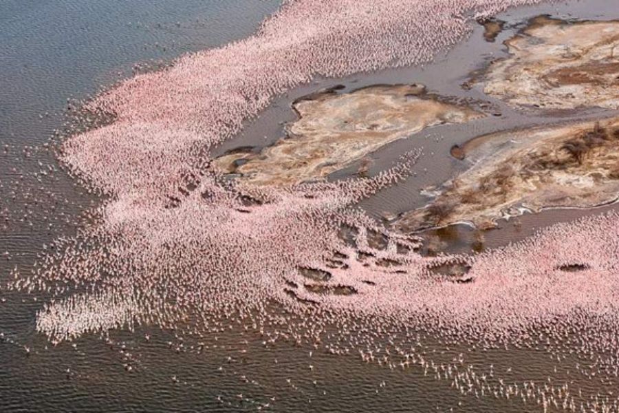 Lake Bogoria National Reserve 2