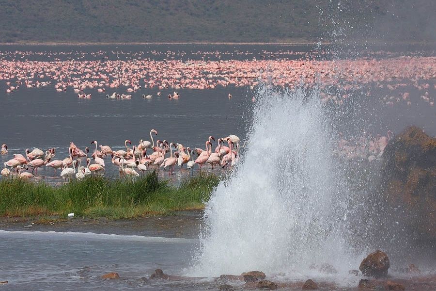Wild Plains to Coastal Swahili Dreams – 13 Days