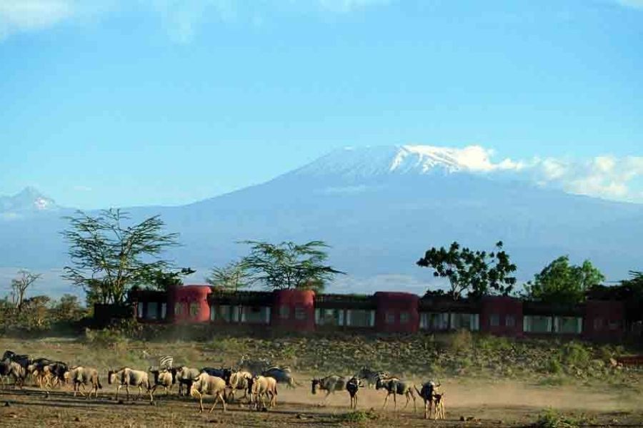 Serena Amboseli Lodge4