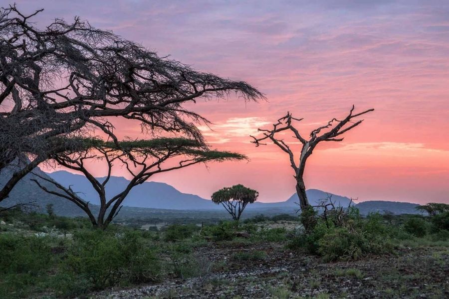 Shaba National Reserve