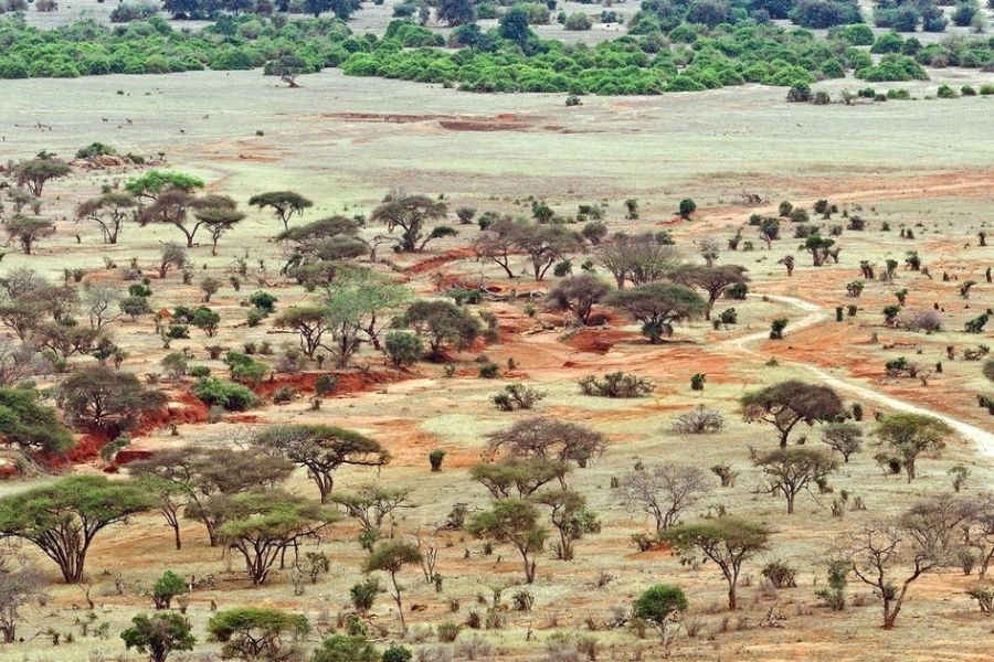 Tsavo National Park 7