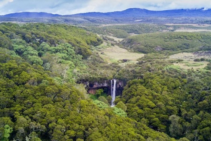 Aberdare National Park | Kenya