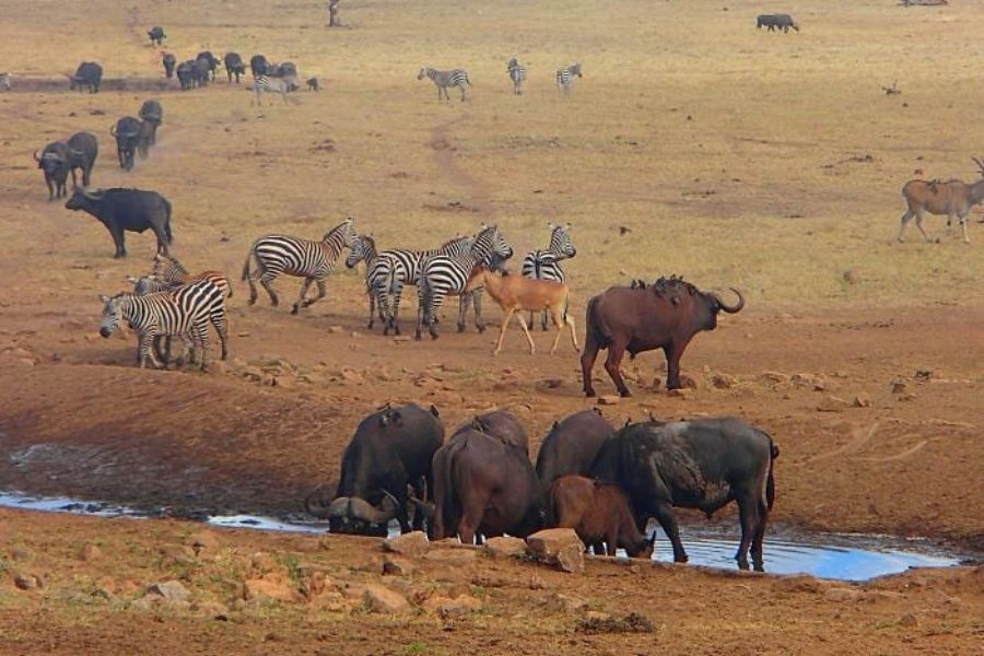 Tsavo East and West National Park