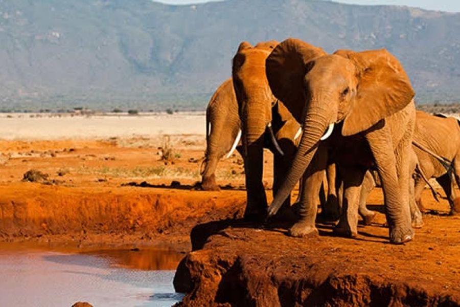 3 day 2 nights Tsavo West Safari Package