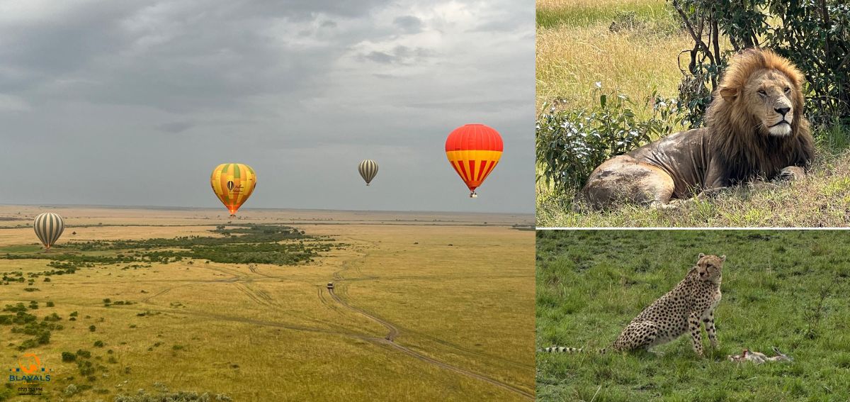 Maasai Mara National Reserve