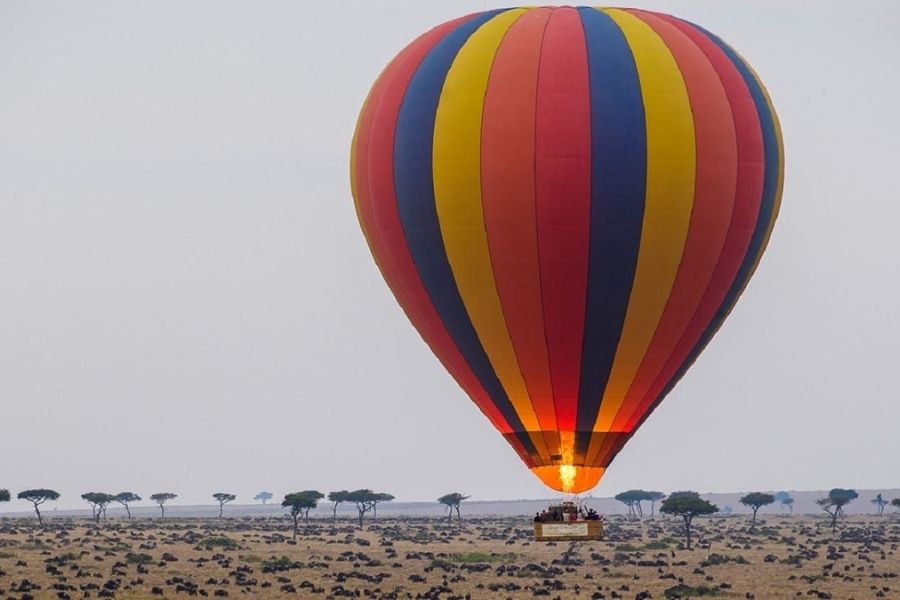 Masai Mara National Reserve